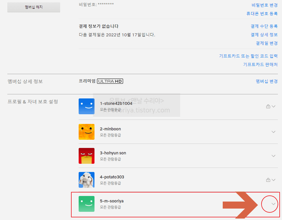 넷플릭스 프로필 비밀번호 설정과 프로필 잠그는 방법 완벽 가이드