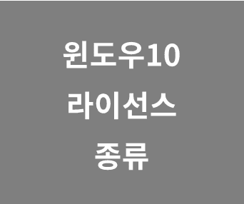윈도우10과 11 라이선스 종류 특징 비교: FPP, DSP, OEM, ESD, COEM 차이점 완벽 분석