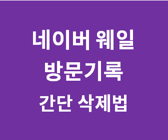 네이버 웨일 브라우저에서 방문 기록 쉽게 삭제하는 방법과 접속한 사이트 빠르게 지우는 팁